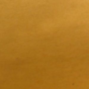 Meet your Posher, Mara